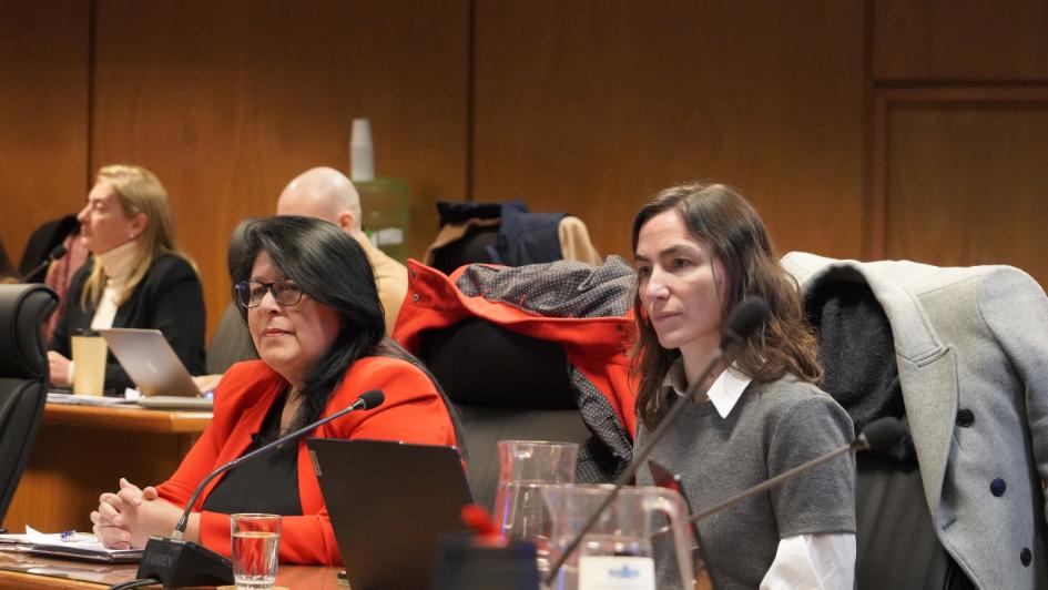 El Ministerio del Interior presentó en el Parlamento su plan estratégico de gestión El Ministerio del Interior presentó en el Parlamento su plan estratégico de gestión