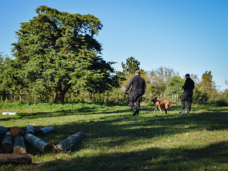 II Encuentro Nacional de Perros Detectores y de Trabajo