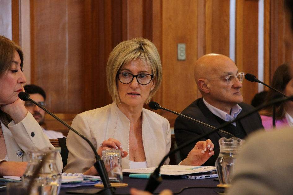 Ministerio del Interior presentó acciones ante la Comisión Bicameral de Salud Mental Ministerio del Interior presentó acciones ante la Comisión Bicameral de Salud Mental