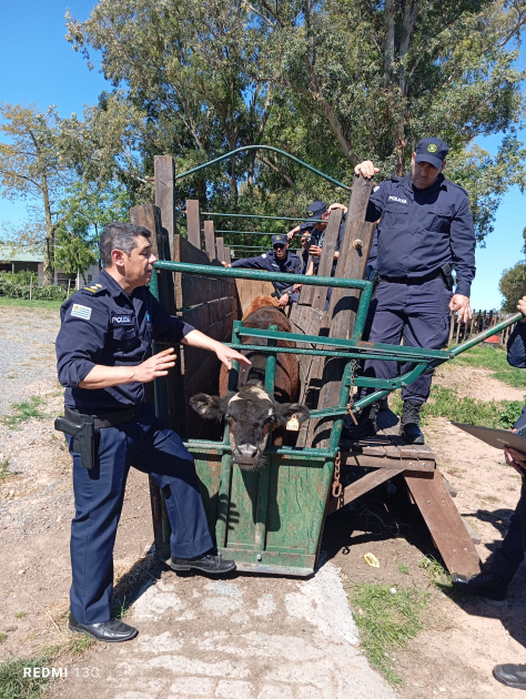 Capacitación Regional sobre Seguridad Rural reunió a efectivos de tres departamentos en Río Negro Capacitación Regional sobre Seguridad Rural reunió a efectivos de tres departamentos en Río Negro