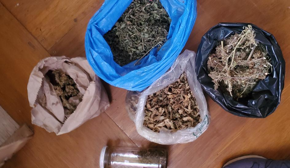 marihuana incautada en la inspección