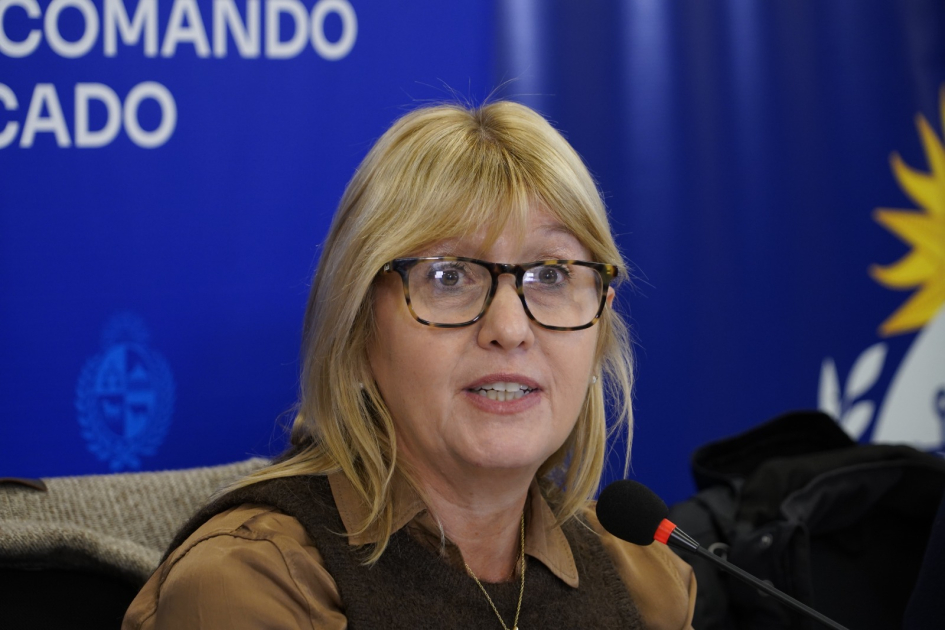 Ministra de Salud Pública, Cristina Lustemberg 