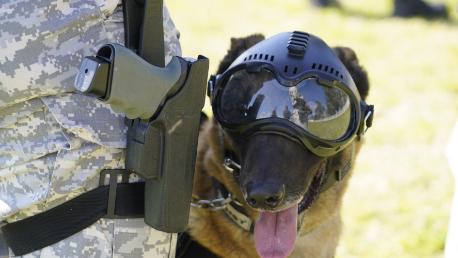 canes de la Unidad Táctica k9 con nuevo equipamiento canes de la Unidad Táctica k9 con nuevo equipamiento