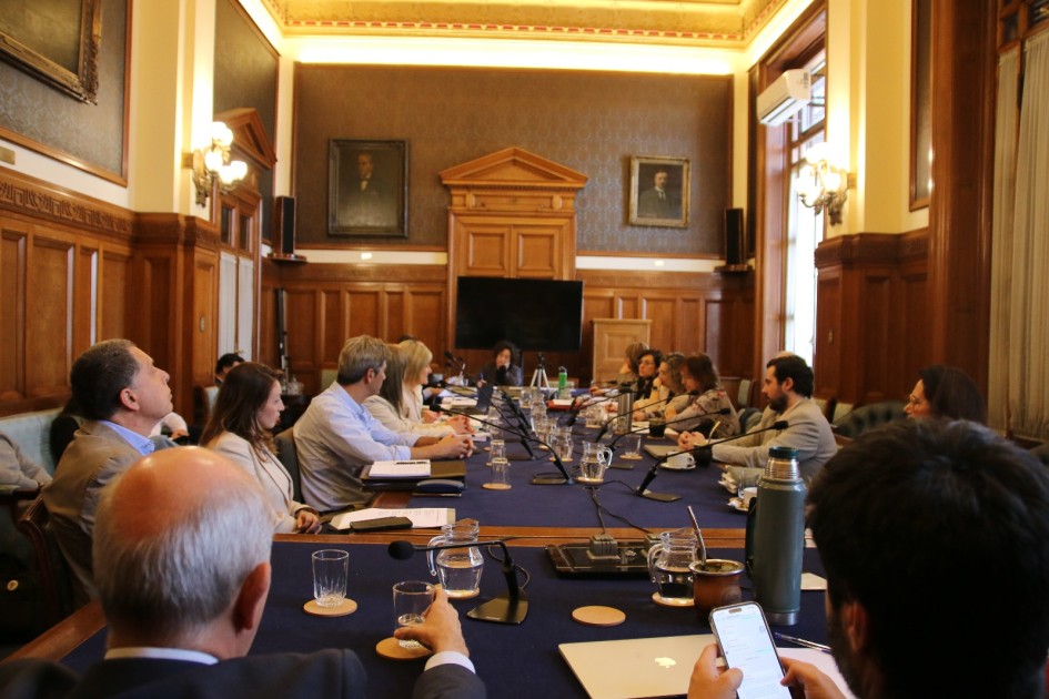 Ministerio del Interior presentó acciones ante la Comisión Bicameral de Salud Mental Ministerio del Interior presentó acciones ante la Comisión Bicameral de Salud Mental