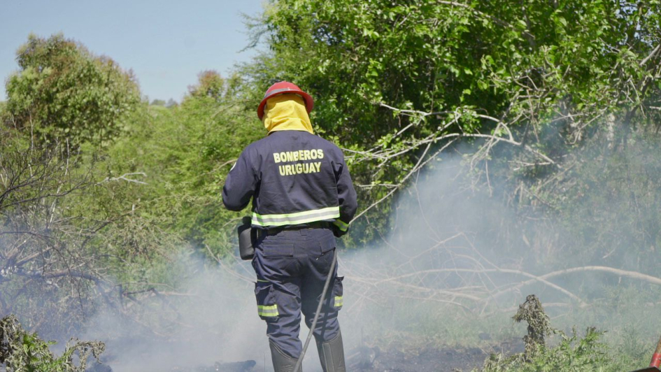 funcionario de bomberos durante la capacitación funcionario de bomberos durante la capacitación