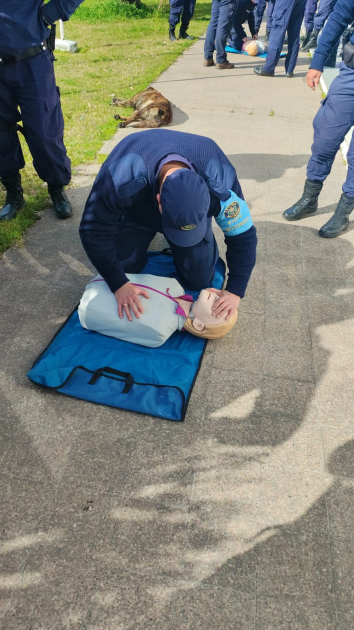 curso de RCP