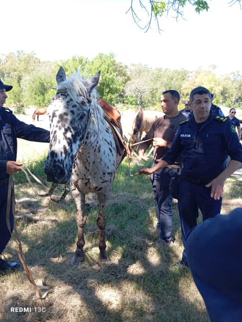 Capacitación Regional sobre Seguridad Rural reunió a efectivos de tres departamentos en Río Negro Capacitación Regional sobre Seguridad Rural reunió a efectivos de tres departamentos en Río Negro
