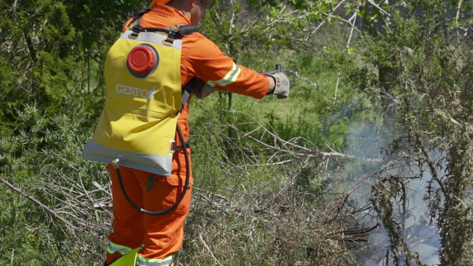 funcionario con mochila de combate de incendios funcionario con mochila de combate de incendios