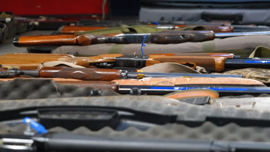 armas incautadas armas incautadas