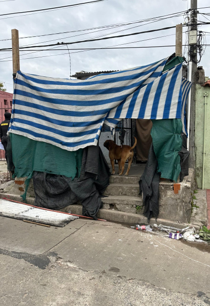 Finca intervenida en el marco de la Operación Argos