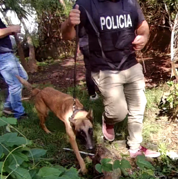 Allanamiento de la Brigada antidrogas de Lavalleja en barrio Calcerrada Allanamiento de la Brigada antidrogas de Lavalleja en barrio Calcerrada