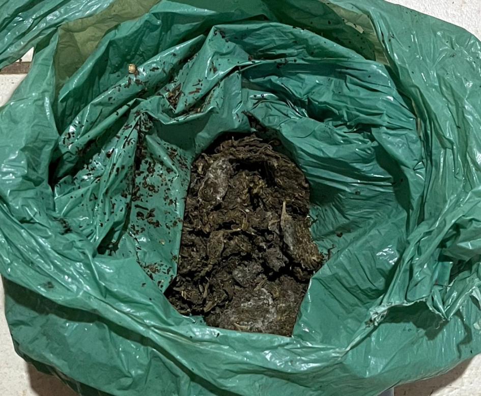 droga incautada durante los operativos droga incautada durante los operativos