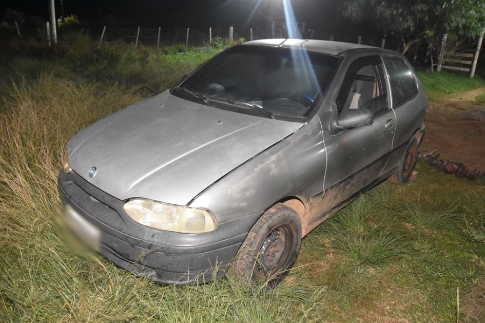 Automóvil Fiat Palio