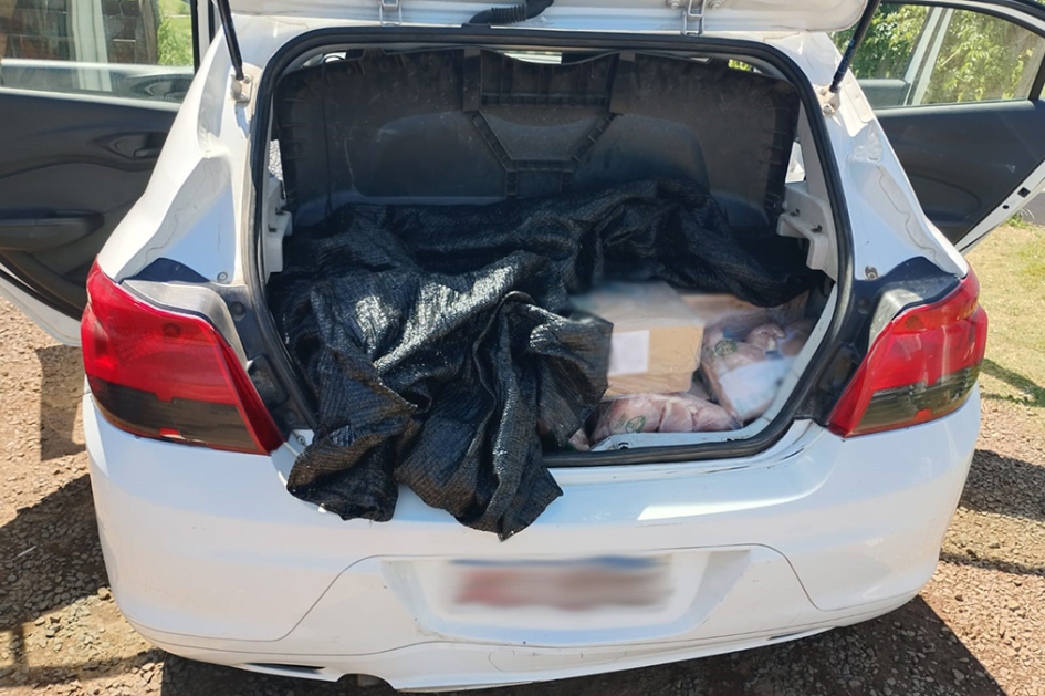 Automovil con bolsas y cajas con carne de pollo en baúl