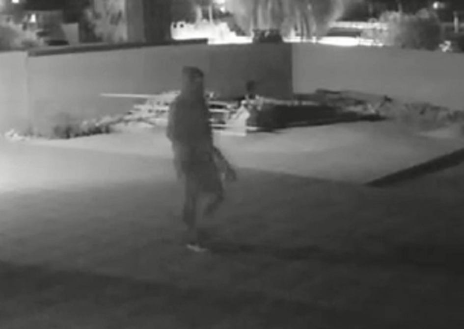 Autor de hurto desde la barbacoa de un vivienda