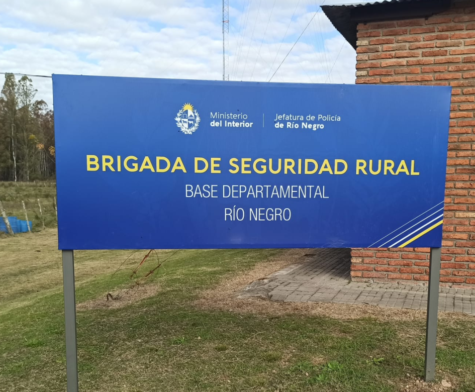 Dependencia BSR BSR