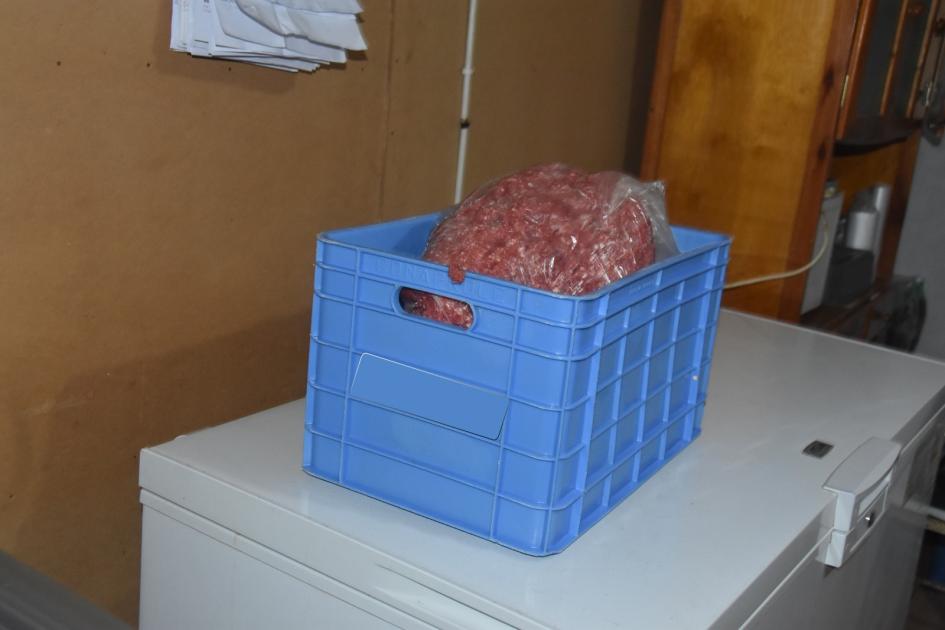 Cajón de plástico con carne clandestina encima de frezer Foto Cajón de plástico con carne clandestina encima de frezer