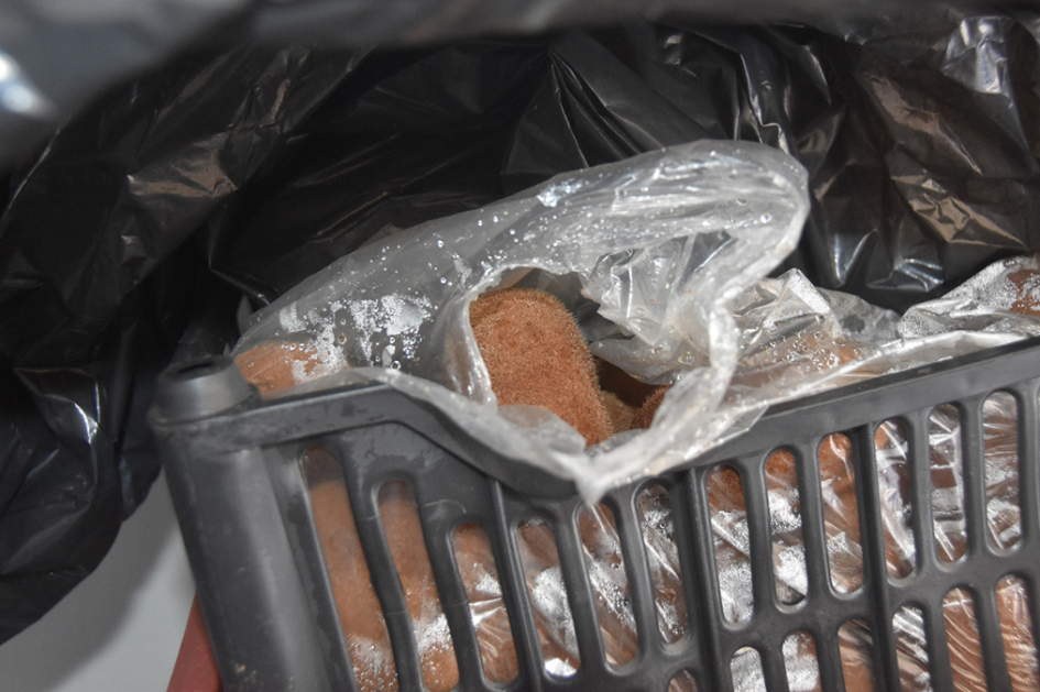 Cajón plástico con kiwis.