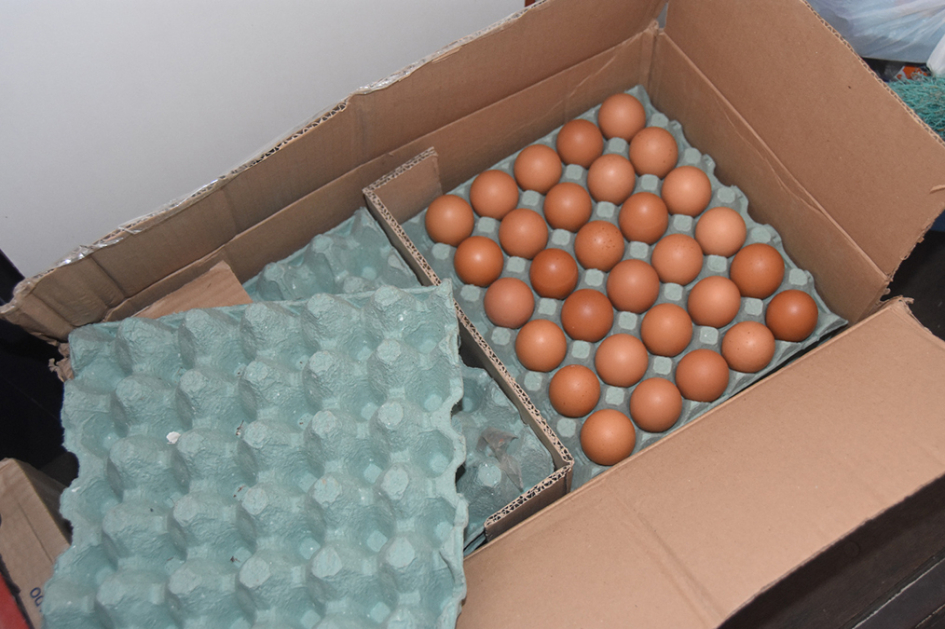 Caja con cartones de huevo.