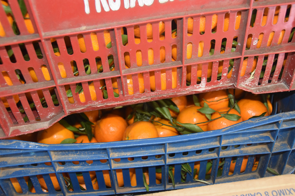Cajones plásticos con tangerinas.