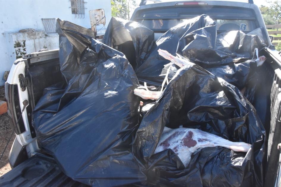 Camioneta con ovinos faenados tapados con nylon negro Foto Camioneta con ovinos faenados tapados con nylon negro