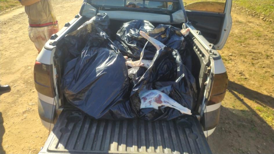 Camioneta con ovinos faenados Foto camioneta con ovinos faenados