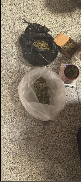 sustancia Marihuana incautada sustancia incautada