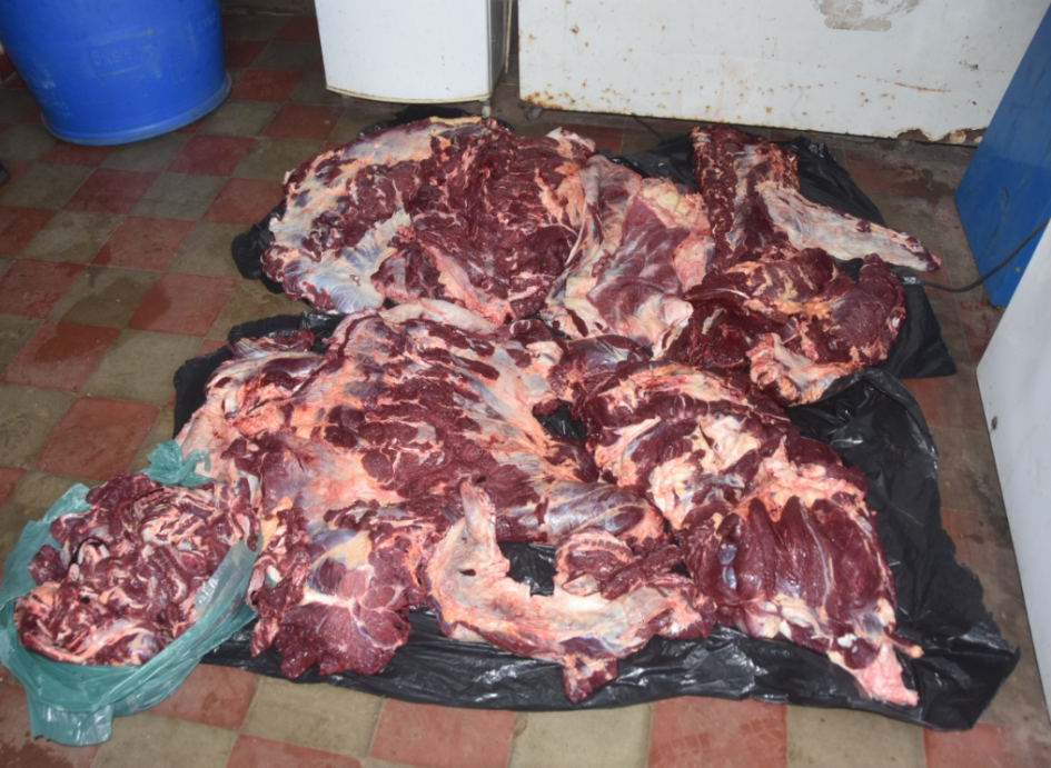 Carne cruda arriba de una bosa en el piso Carne vacuna cruda, distribuida sobre bolsas plásticas negras en el piso.