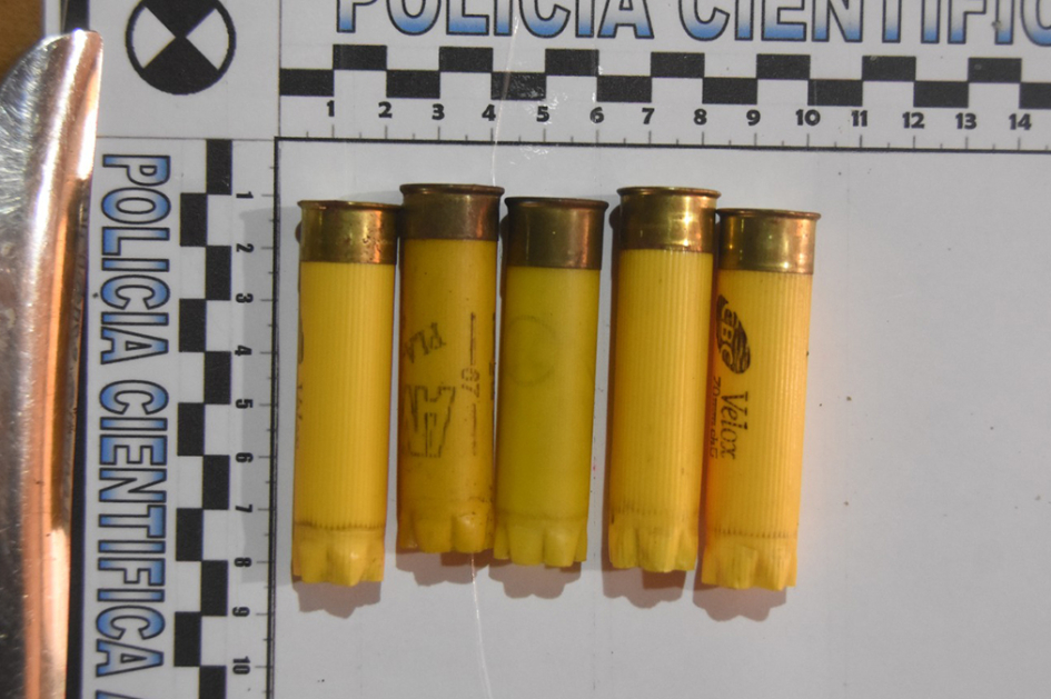 Cartuchos de escopeta. Cartuchos de escopeta.