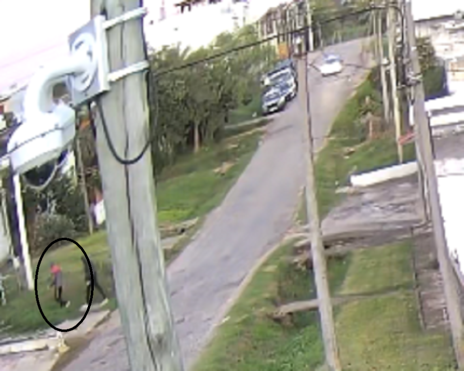 Coautor de daños a sitio de video vigilancia de Minas Coautor de daños a sitio de video vigilancia de Minas