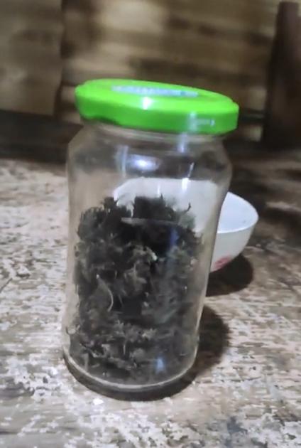 Cogollos de Marihuana en frasco incautados en Solís de Mataojo Cogollos de Marihuana en frasco incautados en Solís de Mataojo