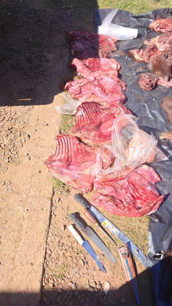 Cuchillos y carne incautada