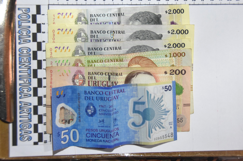 Dinero incautado. Dinero incautado.