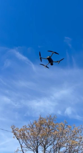 Dron utilizado