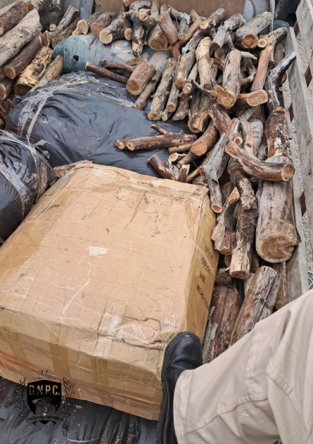 La mercadería era trasladada en una camioneta con tráiler que transportaba leña
