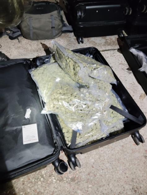 Valija con cogollos de marihuana Valija con cogollos de marihuana