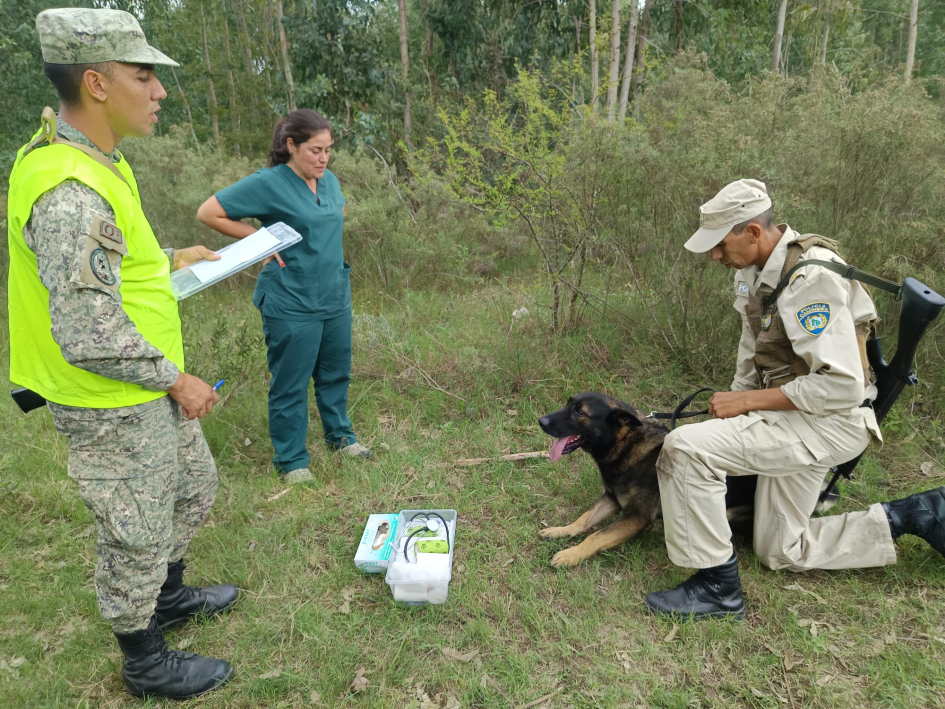 La doctora veterinaria realizó la evaluación oral de la valoración de salud del perro La doctora veterinaria realizó la evaluación oral de la valoración de salud del perro