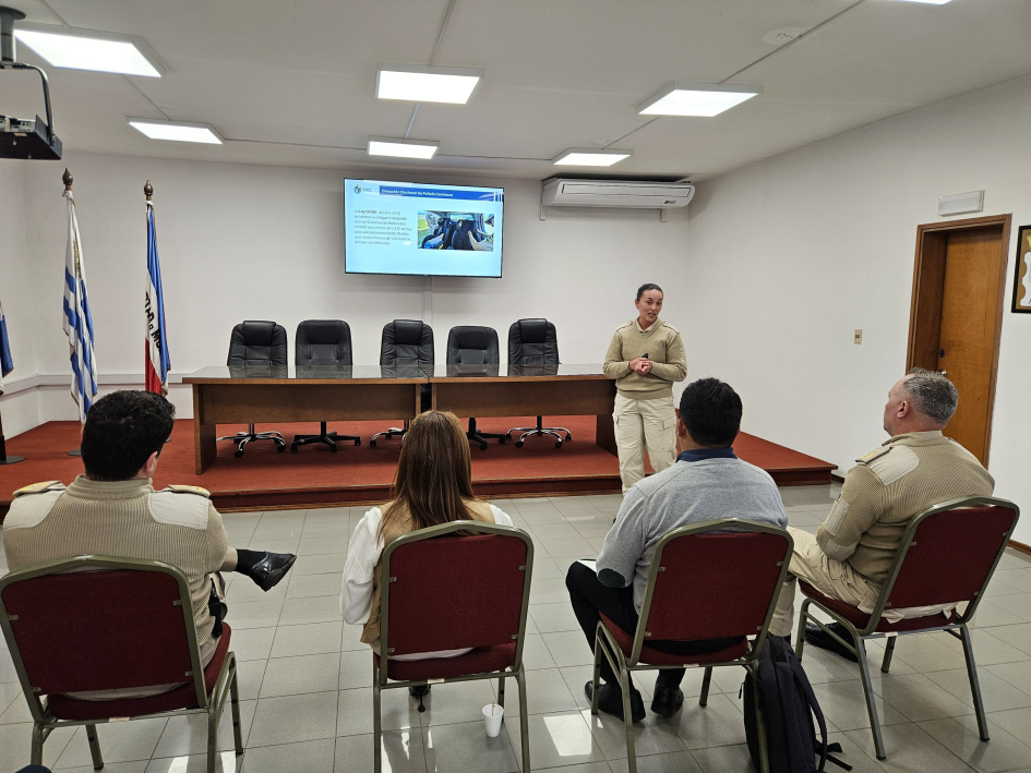 Exposición sobre sistemas de retención infantil y normativa