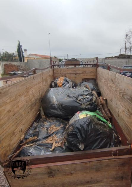 Tráiler con mercadería de contrabando