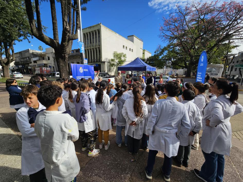 Los grupos participaron activamente con consultas Los grupos participaron activamente con consultas