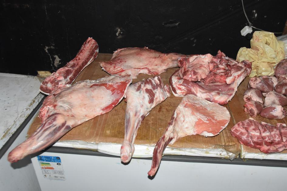 Frezer con carne clandestina encima Foto Frezer con carne clandestina encima