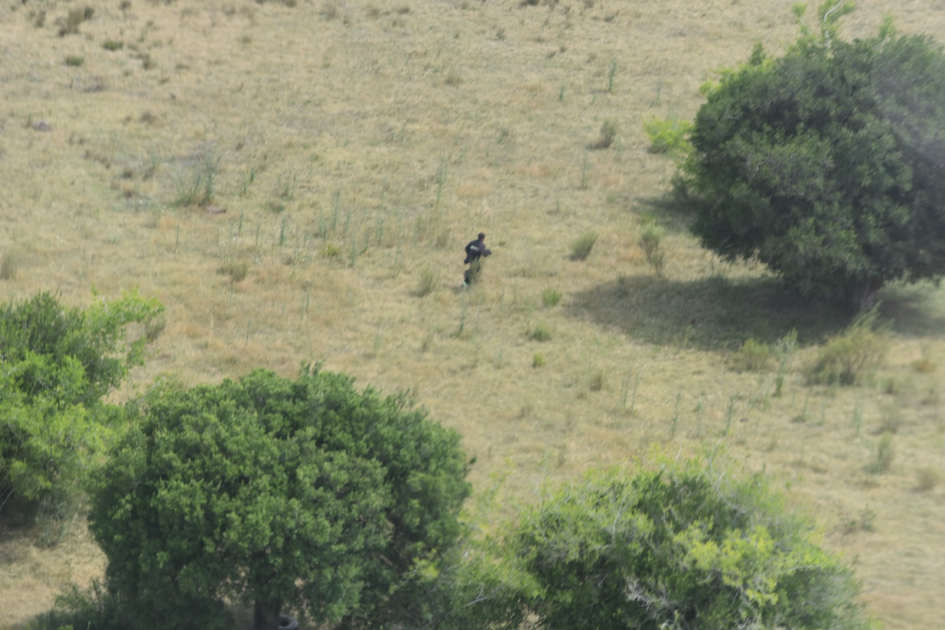 imágenes aéreas del reculso fugando por los campos imágenes aéreas del reculso fugando por los campos