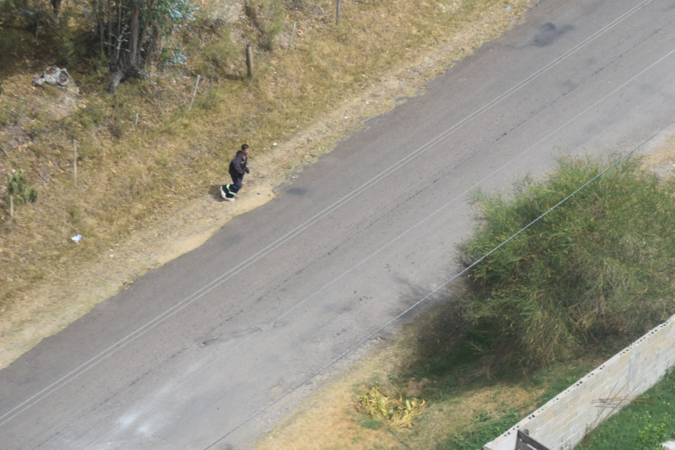 imágenes aéreas del reculso fugando por los campos imágenes aéreas del reculso fugando por los campos