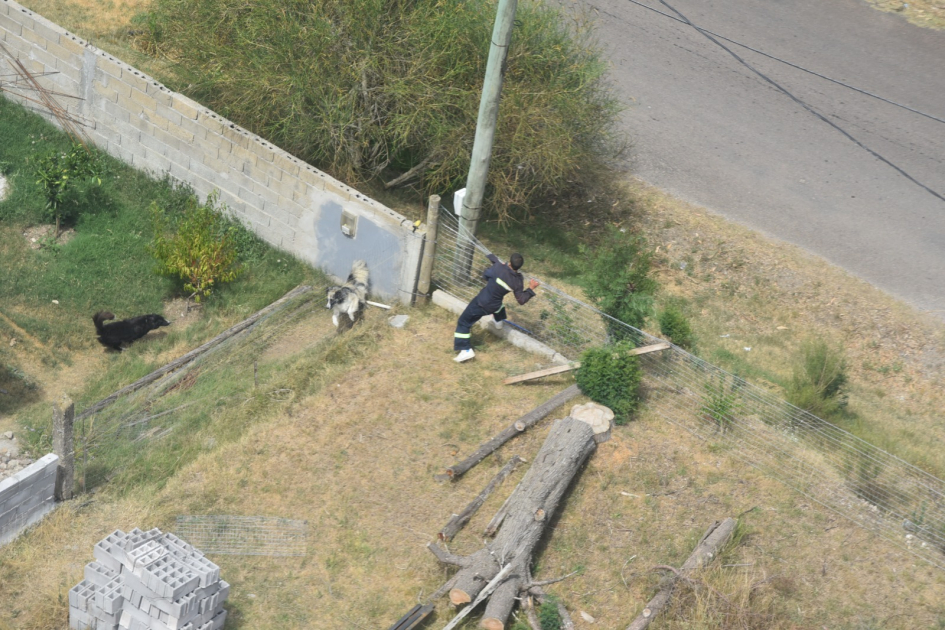 imágenes aéreas del reculso fugando por los campos imágenes aéreas del reculso fugando por los campos
