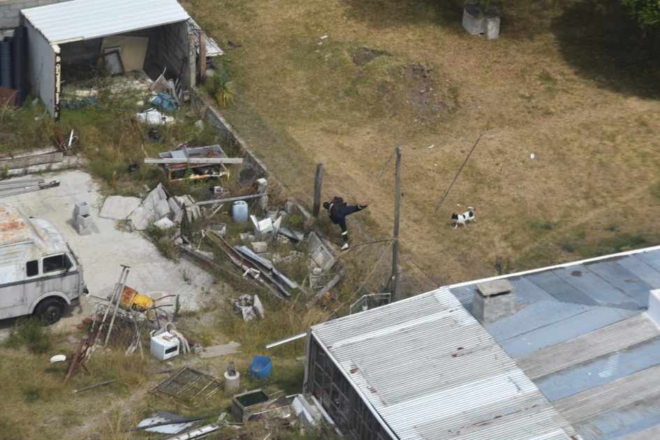 imágenes aéreas del reculso fugando por los campos imágenes aéreas del reculso fugando por los campos