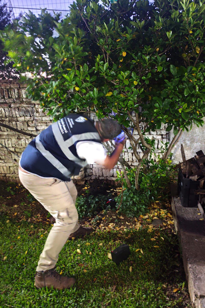 Funcionario de Salud Pública monitoreando trampas