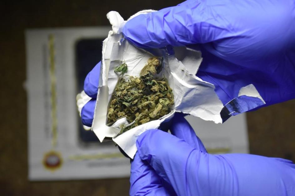 Parte de la marihuana incautada. Parte de la marihuana incautada.