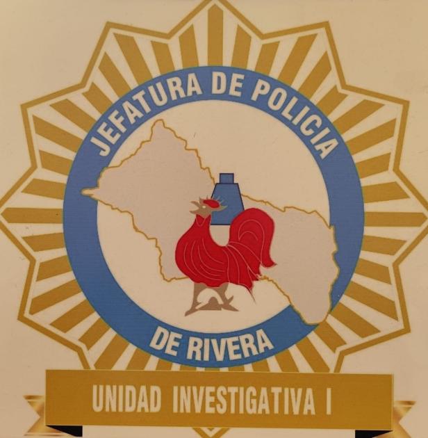 Investigativa I