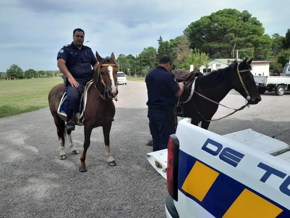 Imagen de encargados de Patrulla montada encillando Imagen de encargados de Patrulla montada encillando