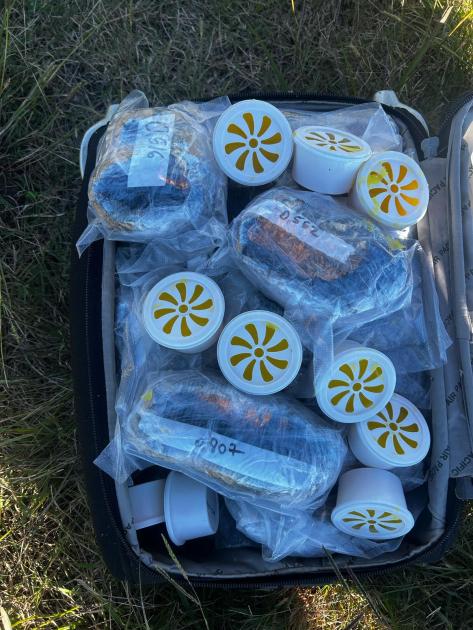 Incautación de drogas a ciudadano brasileño en km 222 de ruta 8 Incautación de drogas a ciudadano brasileño en km 222 de ruta 8